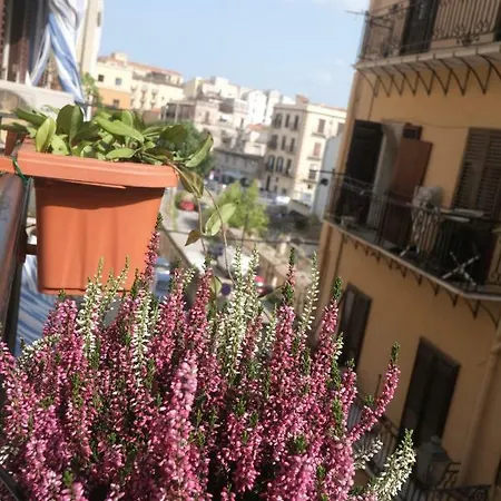 Apartment Massimo Comfort