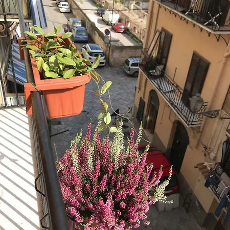 Massimo Comfort Palermo
